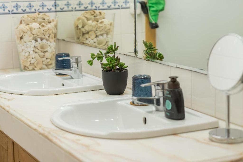 פסו דה רגואה Casa Vila Rosa מראה חיצוני תמונה